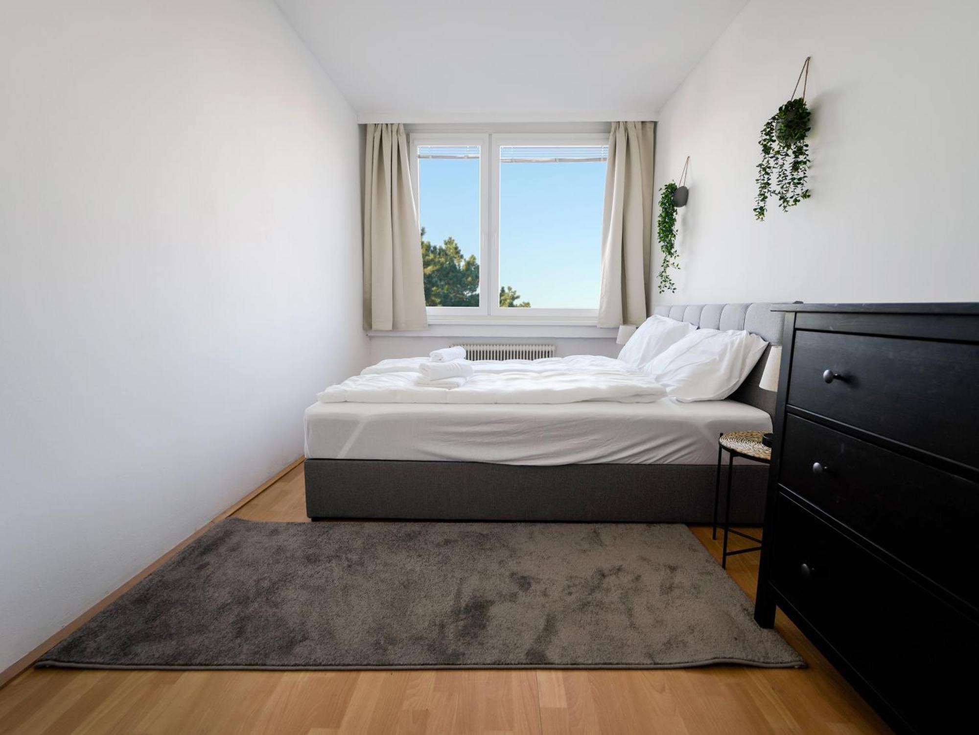Spacious Apartments With View & Free Parking Wiener Neustadt Exterior photo